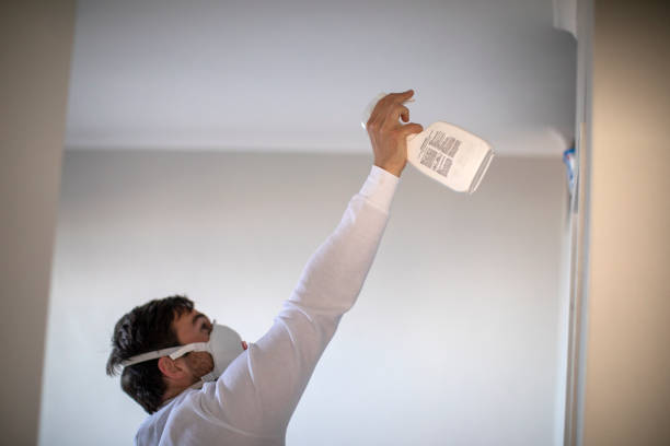 Best Professional Mold Removal  in Fort Lewis, WA