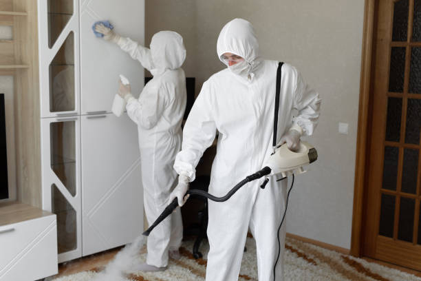 Best Mold Remediation Services  in Fort Lewis, WA