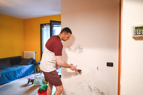 Best Affordable Mold Removal  in Fort Lewis, WA