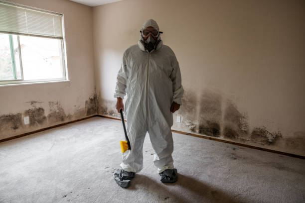 Best Residential Mold Removal  in Fort Lewis, WA